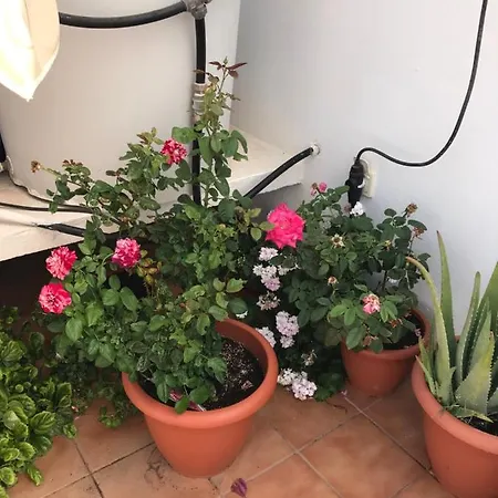 Appartement Ambar